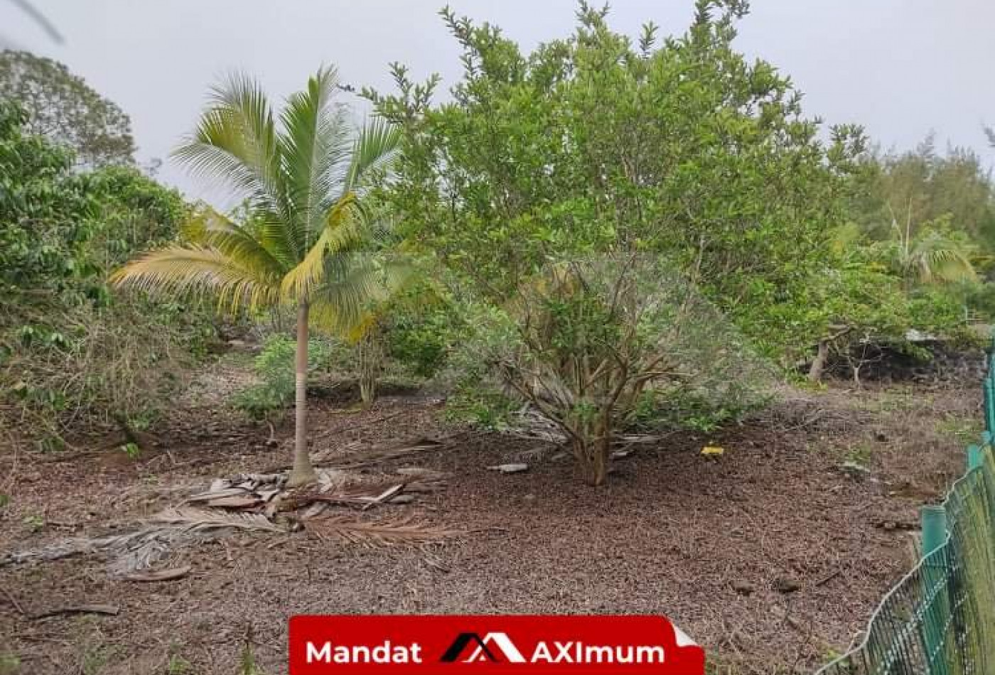 vente Maison Le Tampon - Photo 8