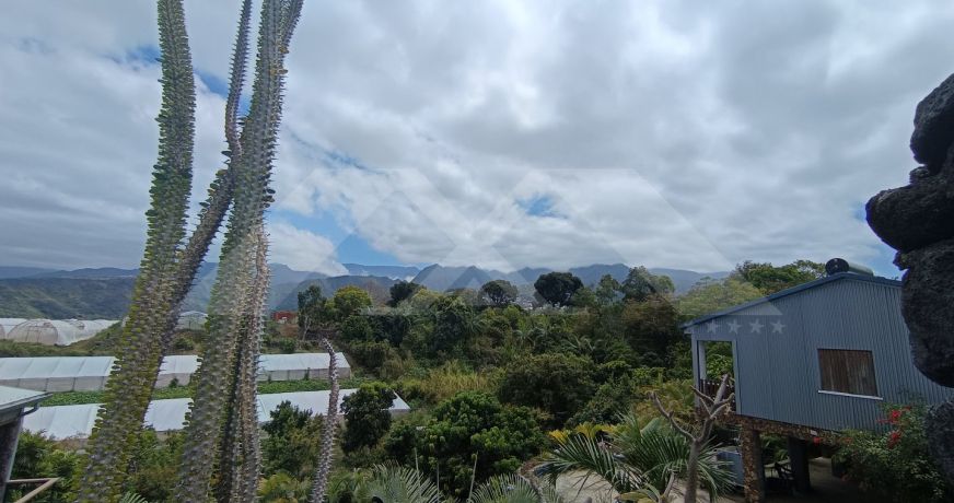 vente Maison Ravine Des Cabris