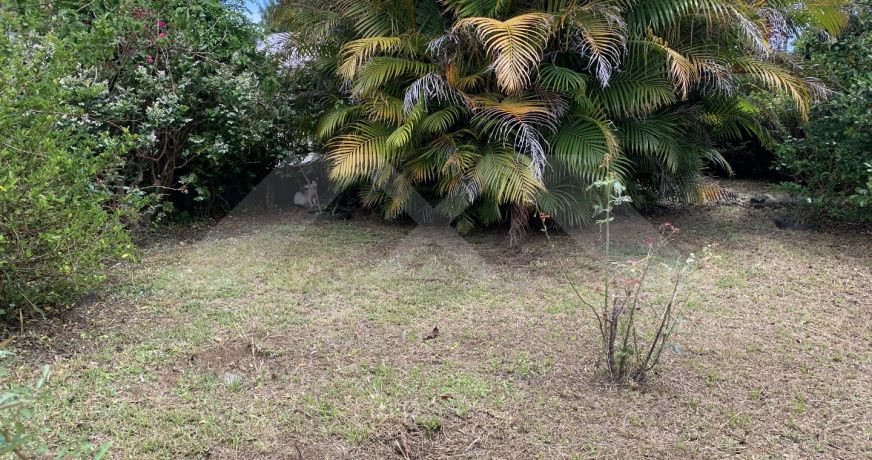 vente Maison Le Tampon