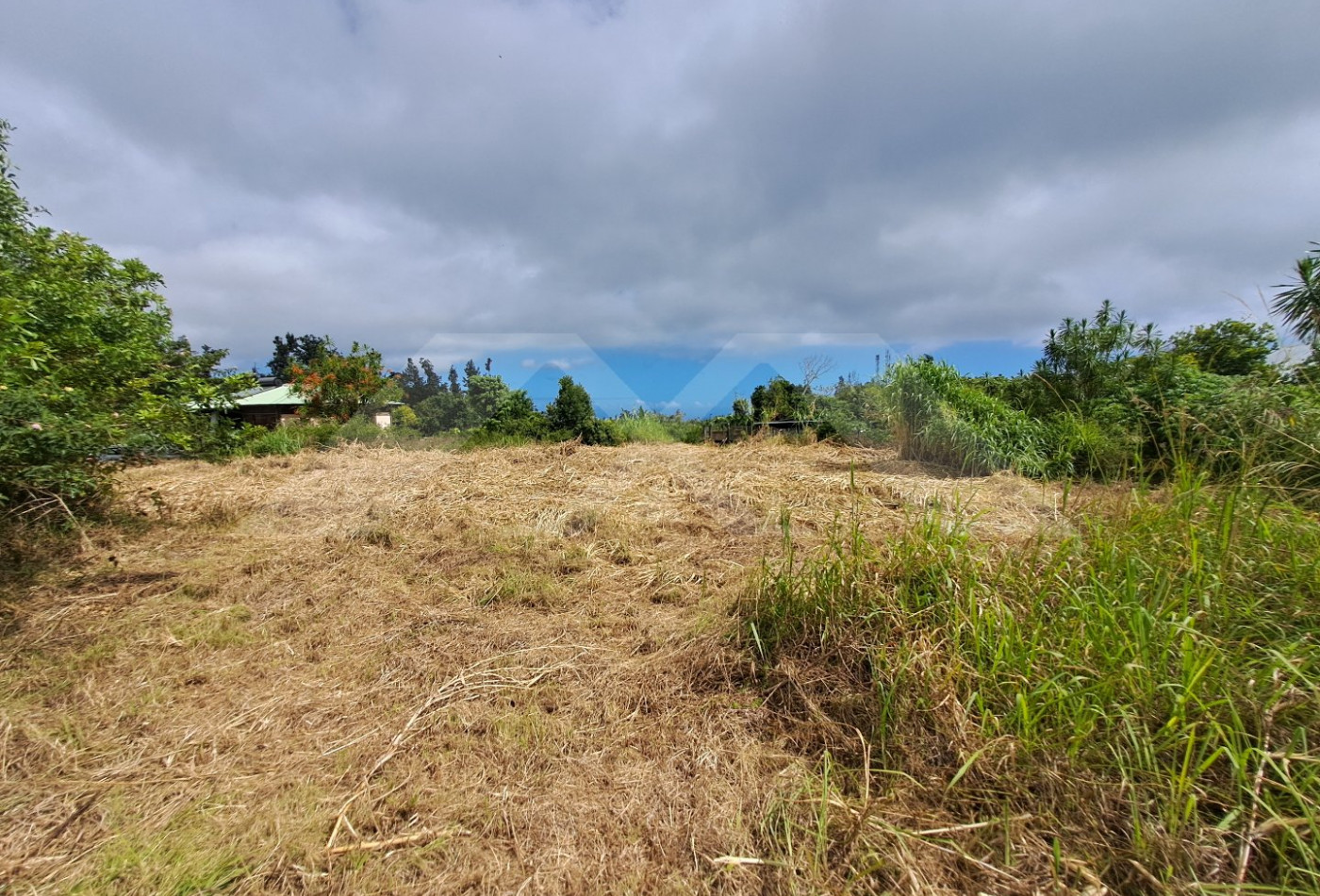 vente Terrain Saint Joseph - Photo 2