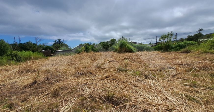 vente Terrain Saint Joseph