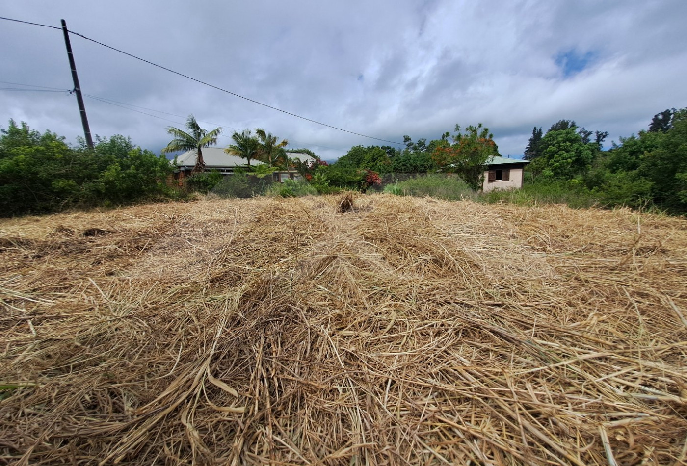 vente Terrain Saint Joseph - Photo 6