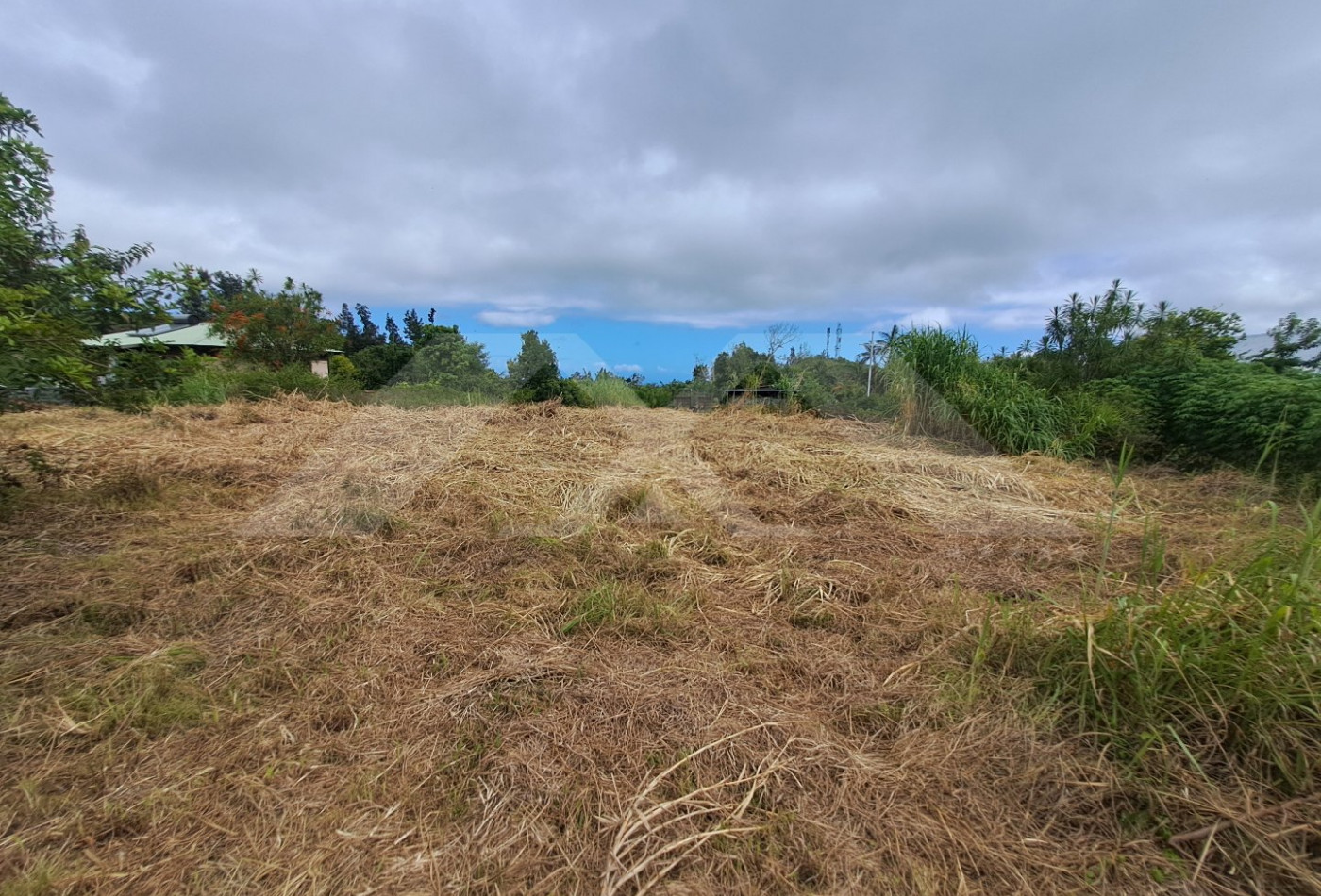 vente Terrain Saint Joseph - Photo 7