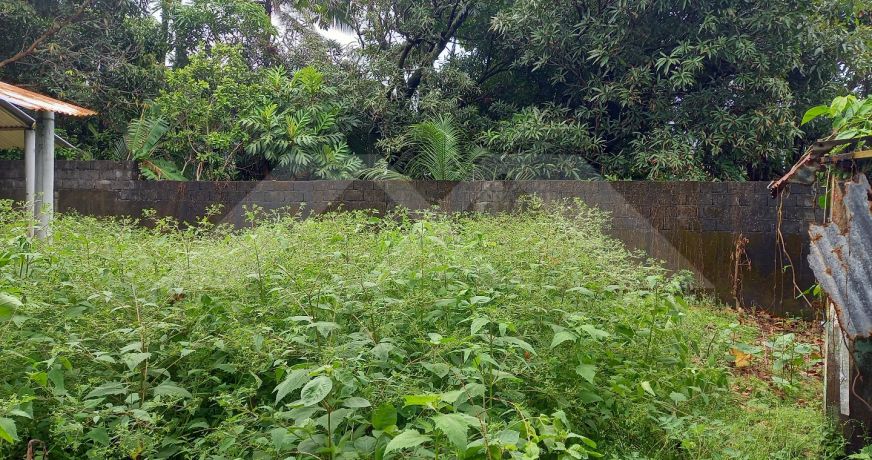 vente Maison Saint Benoit