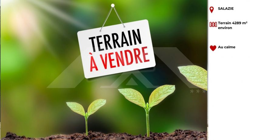 vente Terrain Salazie
