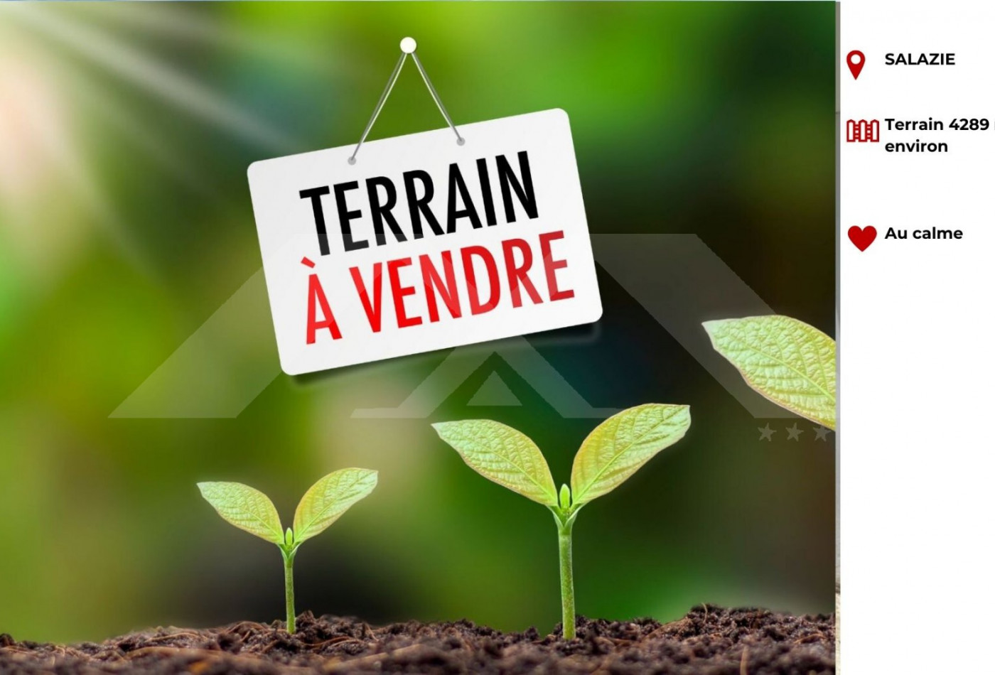 vente Terrain Salazie - Photo 1