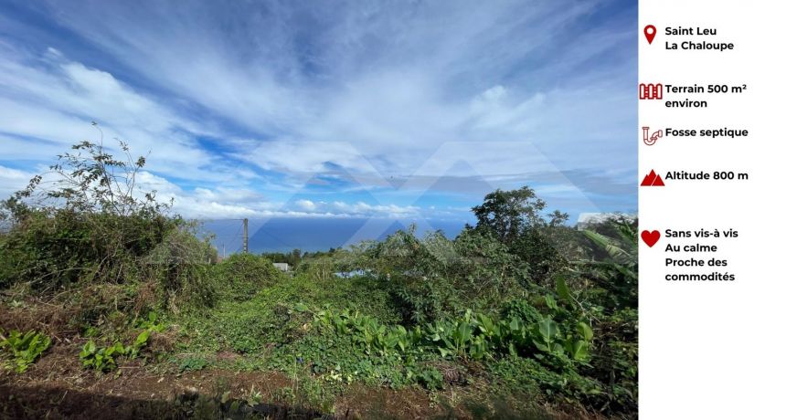 vente Maison La Chaloupe