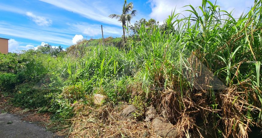 vente Terrain Saint Andre