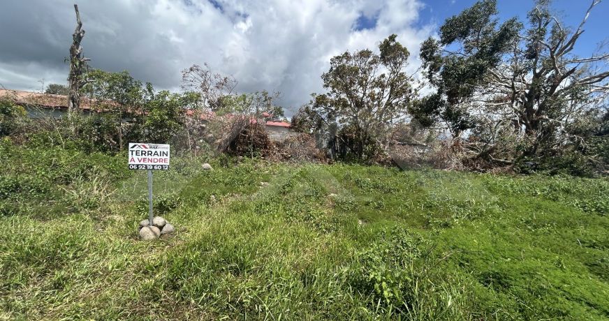 vente Terrain Sainte Anne