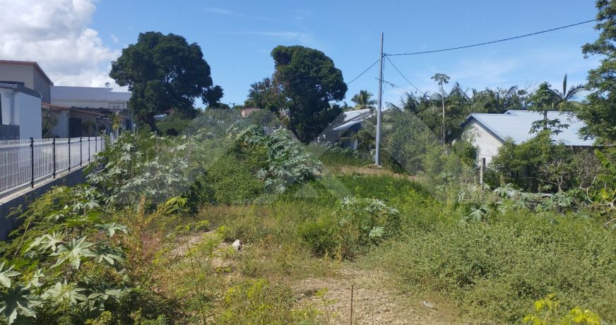 vente Terrain La Riviere