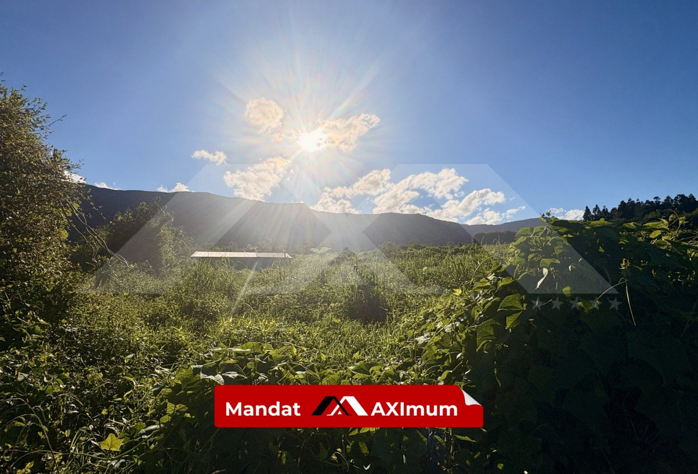 vente Terrain Saint Joseph - Photo 5