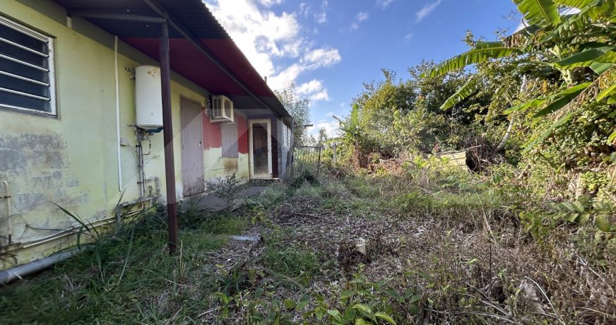 vente Maison Bras Panon