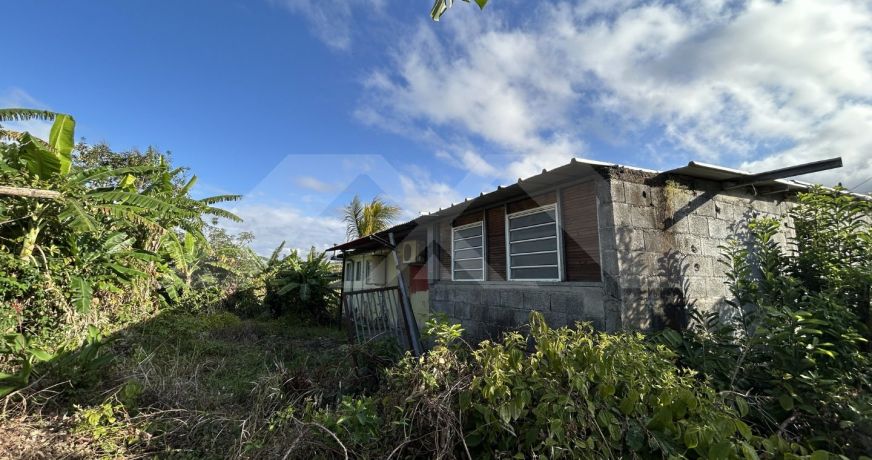 vente Maison Bras Panon