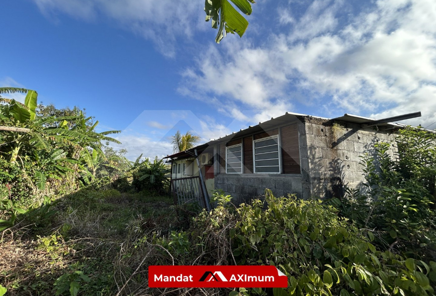 vente Maison Bras Panon - Photo 8