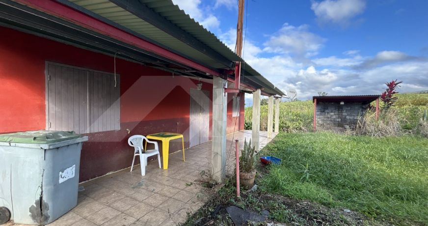 vente Maison Bras Panon