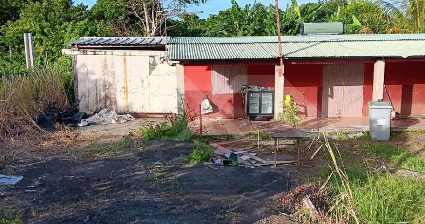 vente Maison Bras Panon