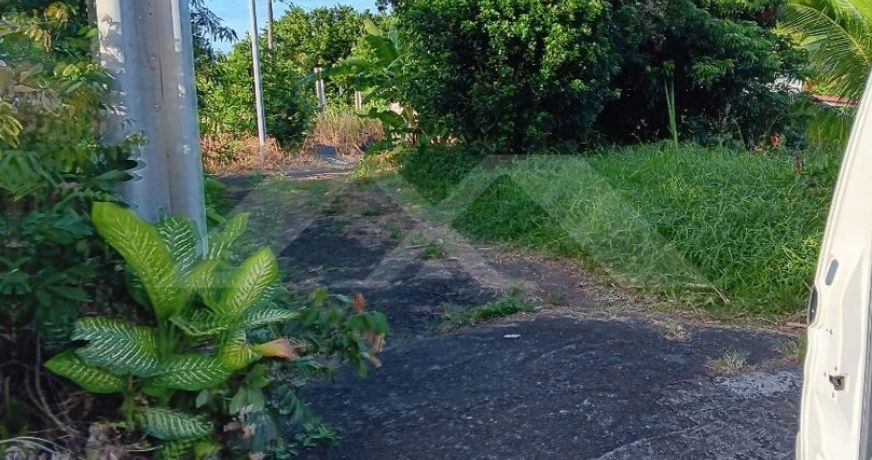 vente Maison Bras Panon