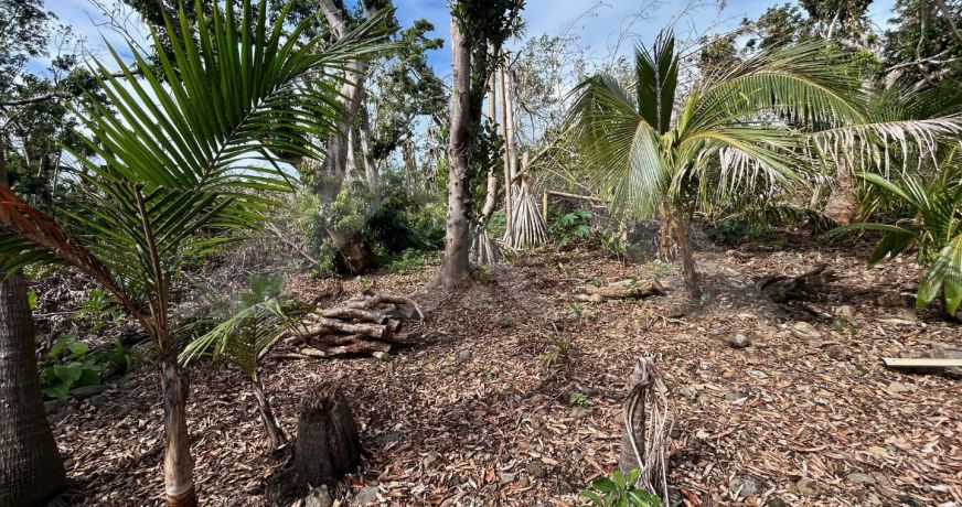 vente Terrain Saint Benoit