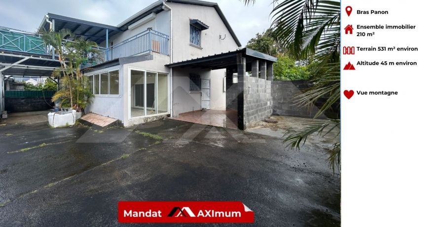 vente Immeuble Bras Panon