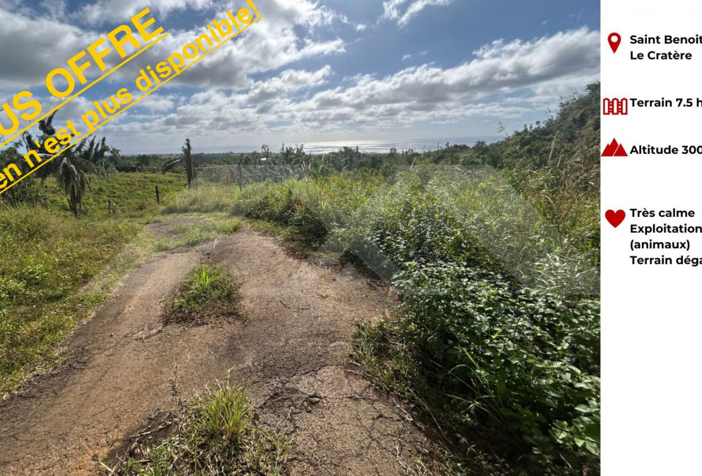 vente Terrain Saint Benoit - Photo 1