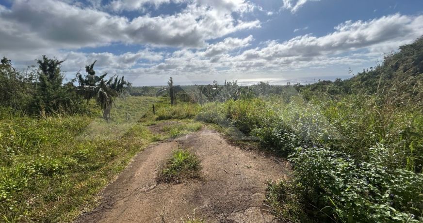 vente Terrain Saint Benoit
