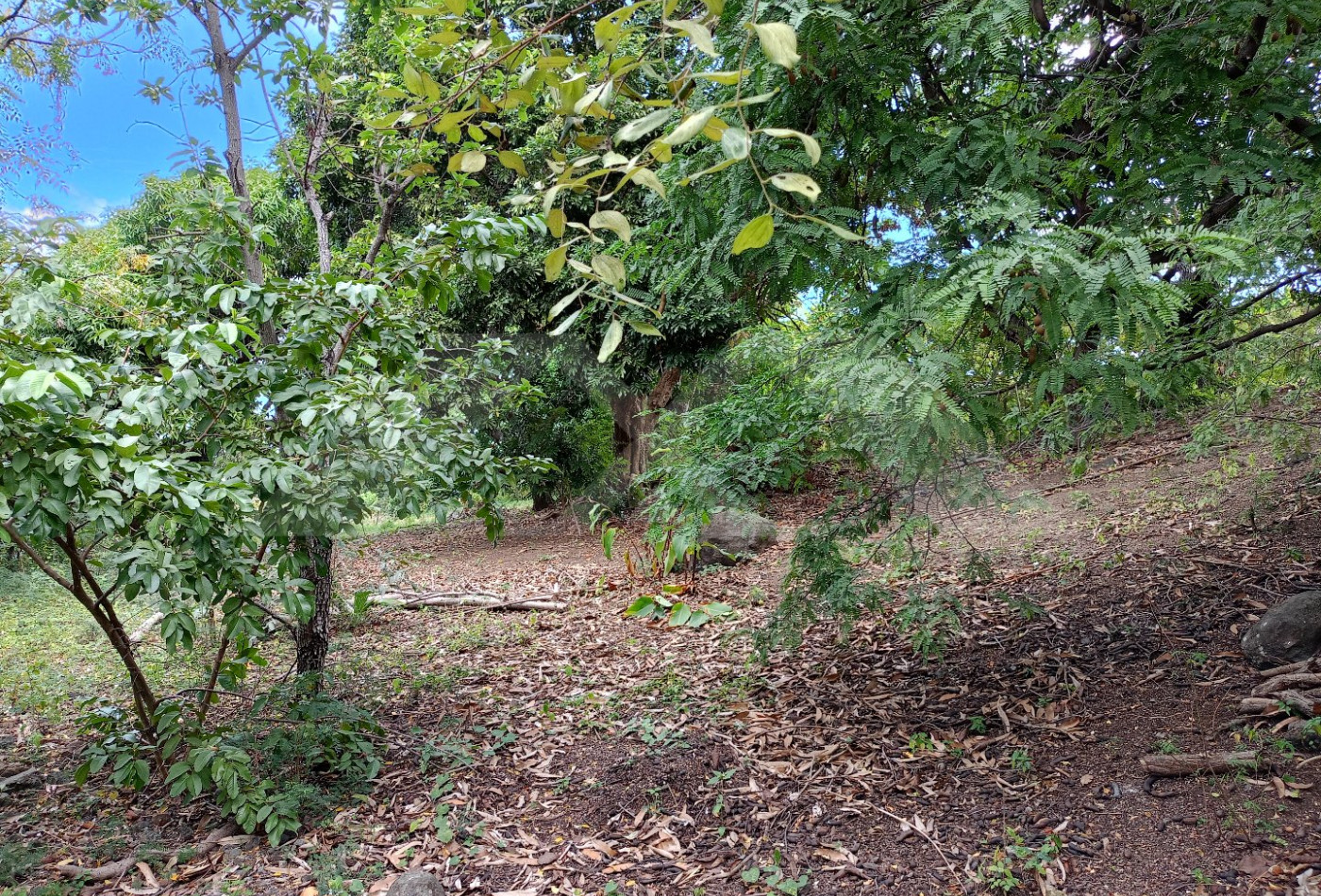 vente Terrain L'etang Sale Les Hauts - Photo 2