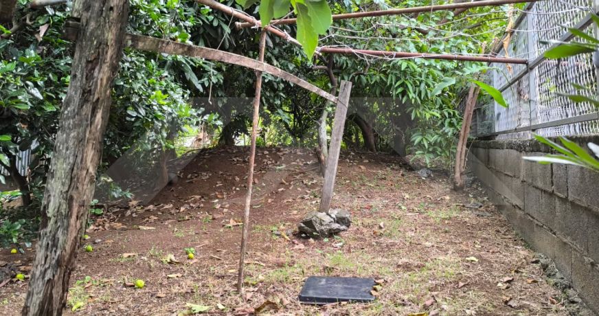 vente Terrain Les Avirons