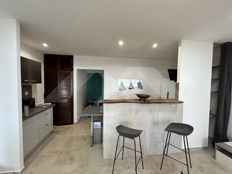 location Appartement Le Tampon - Photo 9