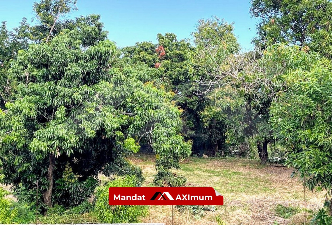 vente Terrain Saint Louis - Photo 2