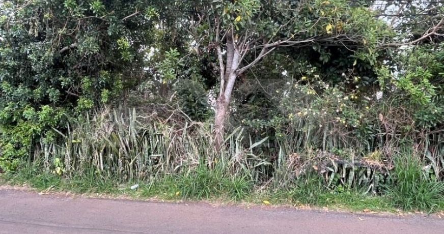 vente Terrain Le Tampon