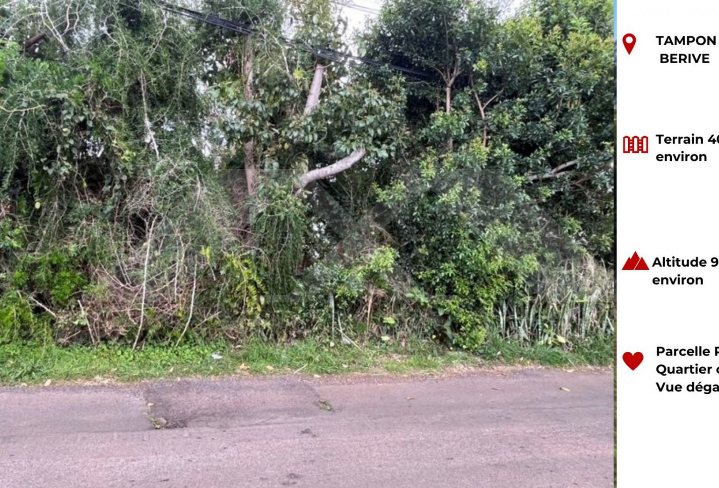 vente Terrain Le Tampon - Photo 1