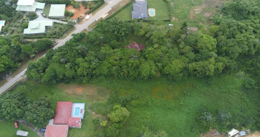 vente Terrain Macouria