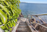 vente Appartement Schoelcher