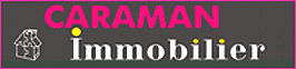 Logo SIA 31