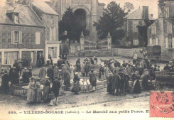 Le marché aux bestiaux. Agences d'aujourd'hui