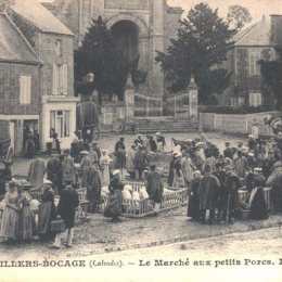 Le marché aux bestiaux. Agences d'aujourd'hui