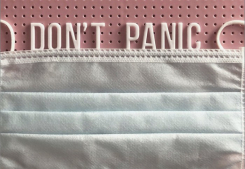 Reprise des visites Agence du cagire