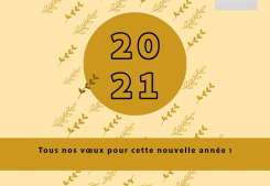 Bonne annÉe 2021 ! Agence du cagire