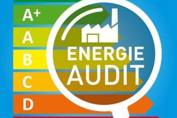 Dès le 1er avril 2023 : l'audit energétique Castex immo