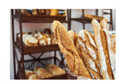 Reouverture boulangerie mane Castex immo
