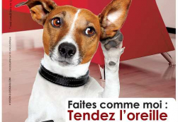 Le comptoir de l' immobilier vous offre 500 € Comptoir de l'immobilier