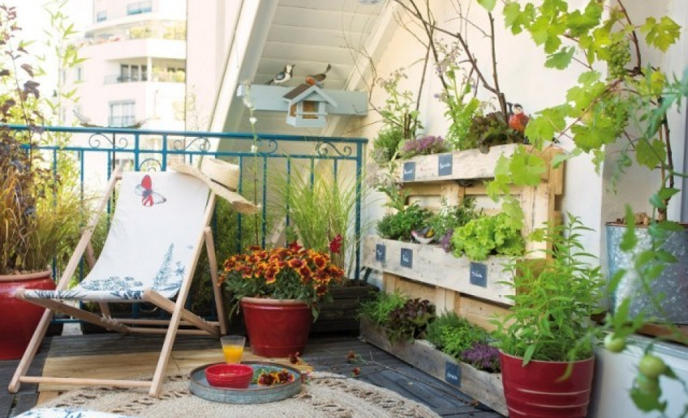 Redonner vie à mon balcon : 10 conseils entretien, aménagement et jardinage Abessan immobilier