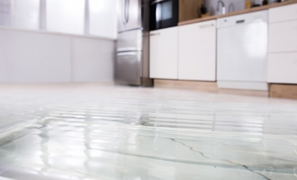 Dégâts des eaux : propriétaire ou locataire, qui fait quoi ? Abessan immobilier