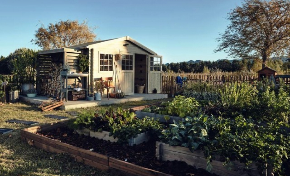 Créer un potager : conseils et astuces de pro Abessan immobilier