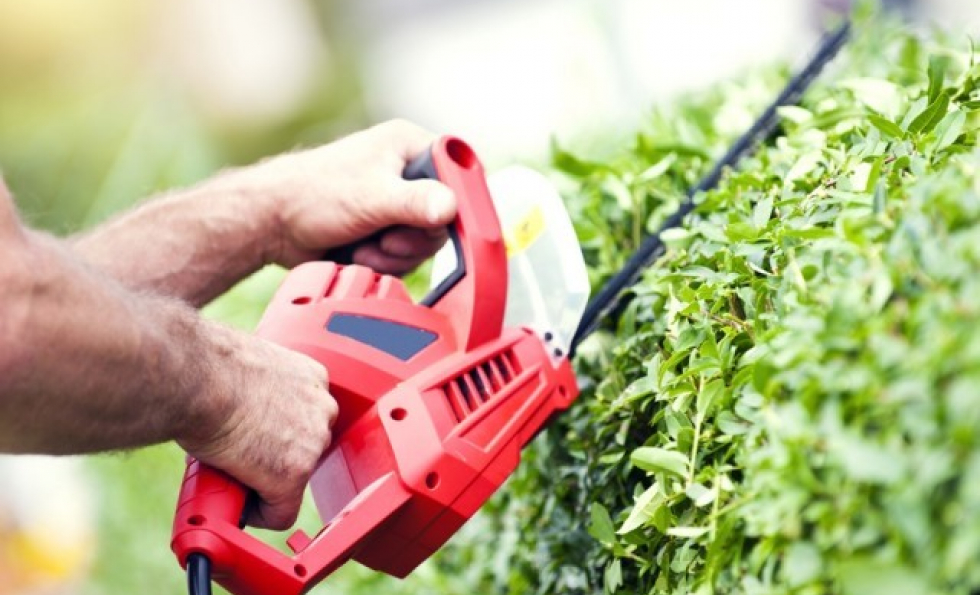 Jardin : ce que vous avez le droit de faire sans gêner vos voisins Abessan immobilier