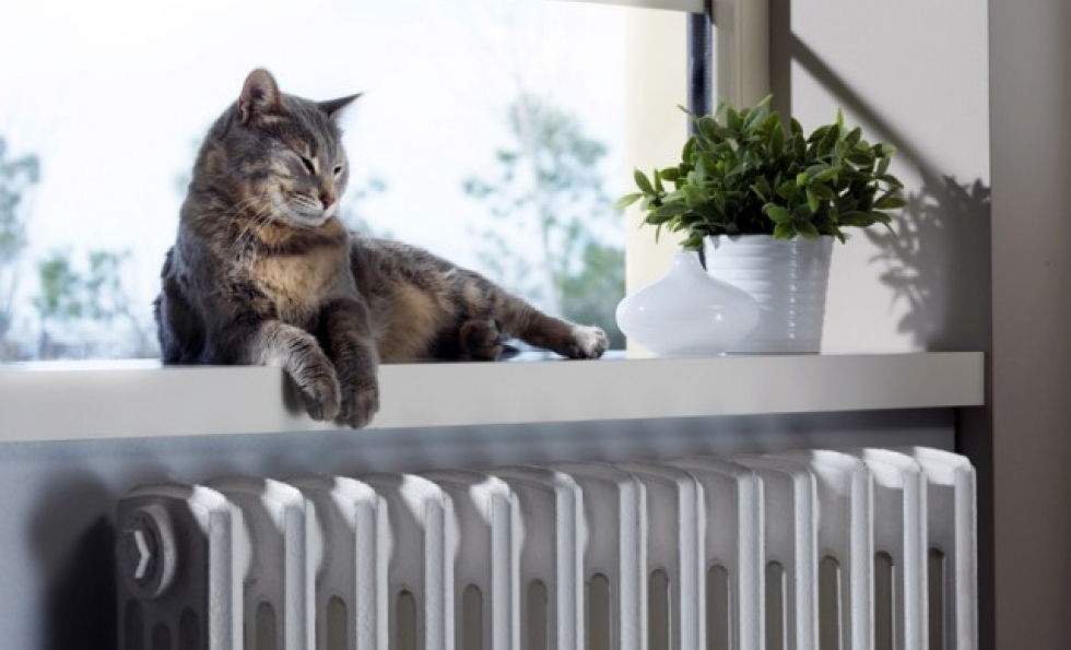 Rallumer son chauffage : conseils et marche à suivre Abessan immobilier