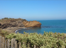 Plan d'agde, cap d'agde, grau d'agde Azura agency