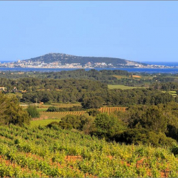 Carte oenotouristique Azura agency