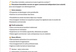 Recrutement agent commercial(e) Pescalune immobilier