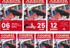 Les courses camarguaises a lunel ! Pescalune immobilier